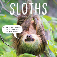 2026 Calendar Sloths Square Wall Paper Pocket CAB30