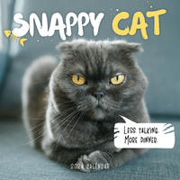 2026 Calendar Snappy Cat Square Wall Paper Pocket CAB31