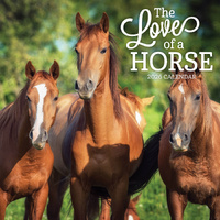 2026 Calendar The Love Of A Horse Square Wall Paper Pocket CAB50