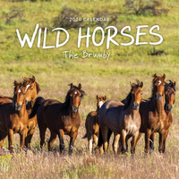 2026 Calendar Wild Horses The Brumby Square Wall Paper Pocket COB33