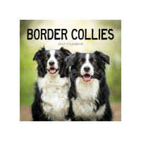 2027 Calendar Border Collies Square Wall, Paper Pocket CAB6