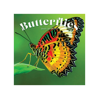 2027 Calendar Butterflies Square Wall, Paper Pocket CAB8