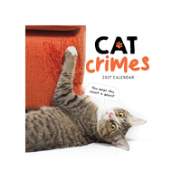 2027 Calendar Cat Crimes Square Wall, Paper Pocket CAB9