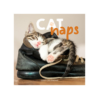 2027 Calendar Cat Naps Square Wall, Paper Pocket CAB03