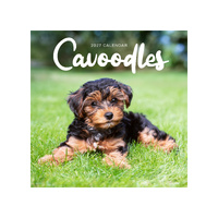 2027 Calendar Cavoodles Square Wall, Paper Pocket CAB44