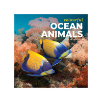 2027 Calendar Colourful Ocean Animals Square Wall, Paper Pocket CAB41