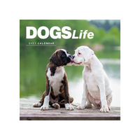2027 Calendar Dogs Life Square Wall, Paper Pocket CAB12