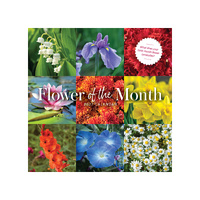 2027 Calendar Flower Of The Month Square Wall, Paper Pocket CPB8