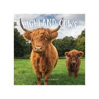 2027 Calendar Highland Cows Square Wall, Paper Pocket CAB21