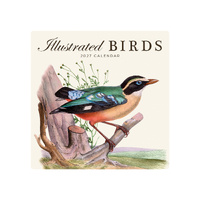 2027 Calendar Illustrated Birds Square Wall, Paper Pocket CAB45