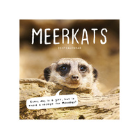 2027 Calendar Meerkats Square Wall, Paper Pocket CAB24