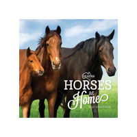 2027 Calendar Our Australia Horses At Home Square Wall, Paper Pocket COB12