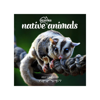 2027 Calendar Our Australia Native Animals Square Wall, Paper Pocket COB18