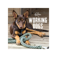 2027 Calendar Our Australia Working Dogs Square Wall, Paper Pocket COB34