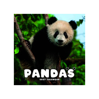 2027 Calendar Pandas Square Wall, Paper Pocket CAB04