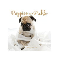 2027 Calendar Puppies In A Pickle Square Wall, Paper Pocket CAB27