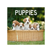 2027 Calendar Puppies Square Wall, Paper Pocket CAB26