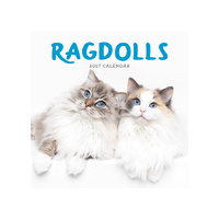 2027 Calendar Ragdolls Square Wall, Paper Pocket CAB28