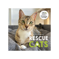 2027 Calendar Rescue Cats Square Wall, Paper Pocket CAB49