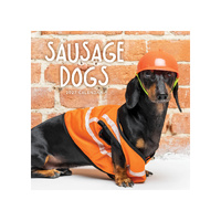 2027 Calendar Sausage Dogs Square Wall, Paper Pocket CAB29