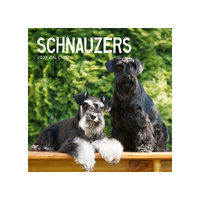 2027 Calendar Schnauzers Square Wall, Paper Pocket CAB06