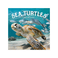 2027 Calendar Sea Turtles Square Wall, Paper Pocket CAB35
