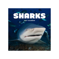 2027 Calendar Sharks Square Wall, Paper Pocket CAB59