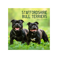 2027 Calendar Staffordshire Bull Terriers Square Wall, Paper Pocket CAB32