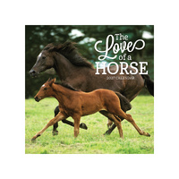2027 Calendar The Love Of A Horse Square Wall, Paper Pocket CAB50