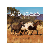 2027 Calendar Wild Horses: The Brumby Square Wall, Paper Pocket COB33