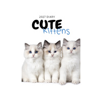 2027 Planner Diary Cute Kittens A5 Week to View, Paper Pocket