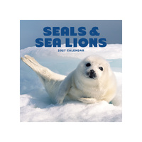 2027 Calendar Seals & Sea Lions Square Wall, Paper Pocket CAB67