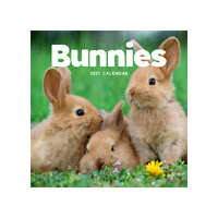 2027 Calendar Bunnies Square Wall, Paper Pocket CAB62