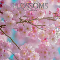 2022 Calendar Blossoms Square Wall by The Gifted Stationery GSC21056