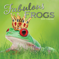 2022 Calendar Fabulous Frogs Square Wall by The Gifted Stationery GSC21288