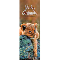 2022 Calendar Baby Animals Slimline Wall by The Gifted Stationery GSC21318