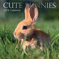 2024 Calendar Cute Bunnies Square Wall by The Gifted Stationery GSC23541
