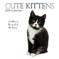 2024 Calendar Cute Kittens Square Wall by The Gifted Stationery GSC23542
