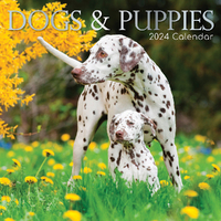 2024 Calendar Dogs & Puppies Square Wall by The Gifted Stationery GSC23543
