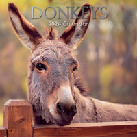 2024 Calendar Donkeys Square Wall by The Gifted Stationery GSC23545