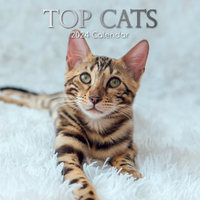 2024 Calendar Top Cats Square Wall by The Gifted Stationery GSC23558