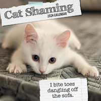 2024 Calendar Cat Shaming Square Wall by The Gifted Stationery GSC23560