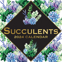 2024 Calendar Succulents Square Wall by The Gifted Stationery GSC23629