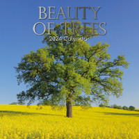 2024 Calendar Beauty of Trees Square Wall by The Gifted Stationery GSC23649