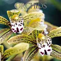 2024 Calendar Orchids Square Wall by The Gifted Stationery GSC23655