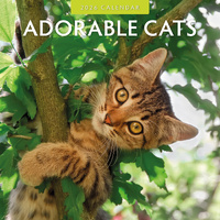 2026 Calendar Adorable Cats 16-Month Square Wall, Red Robin RR261001