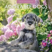 2026 Calendar Adorable Dogs 16-Month Square Wall, Red Robin RR261002
