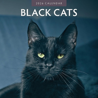 2026 Calendar Black Cats 16-Month Square Wall, Red Robin RR261009