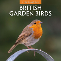 2026 Calendar British Garden Birds 16-Month Square Wall, Red Robin RR261010