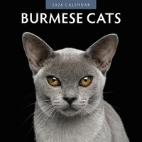 2026 Calendar Burmese Cats 16-Month Square Wall, Red Robin RR261013